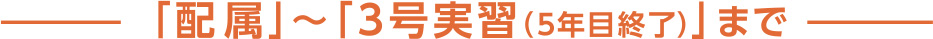 「配属」～「3号実習(5年目終了)」まで